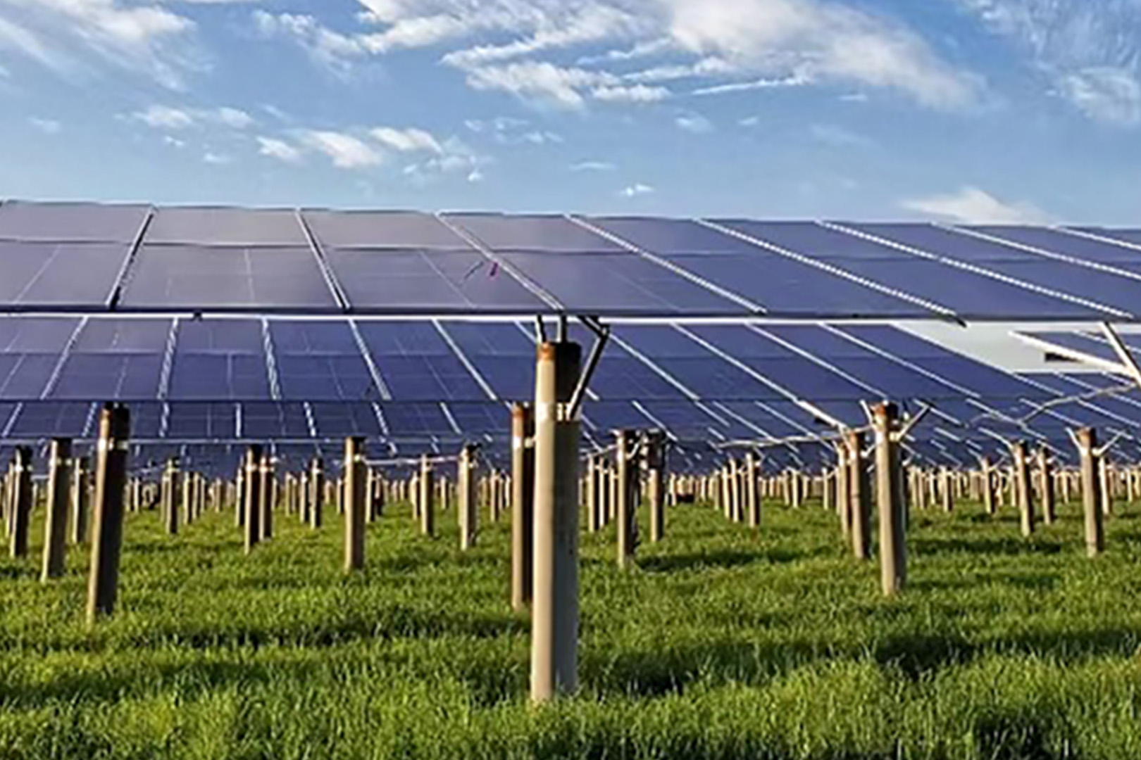 Trina Solar TSM-NEG19RC.20 595-625W