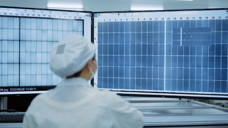 The photovoltaic (PV) new energy sector is anticipated to exhibit the following trends by 2024