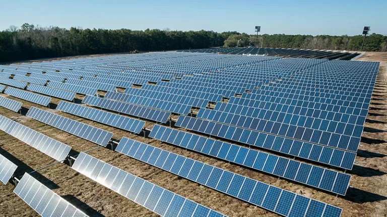 Will Agrivoltaics Affect Crop Growth?