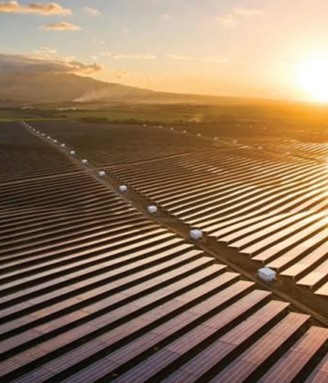 Trina Solar TSM-NEG19RC.20 595-625W
